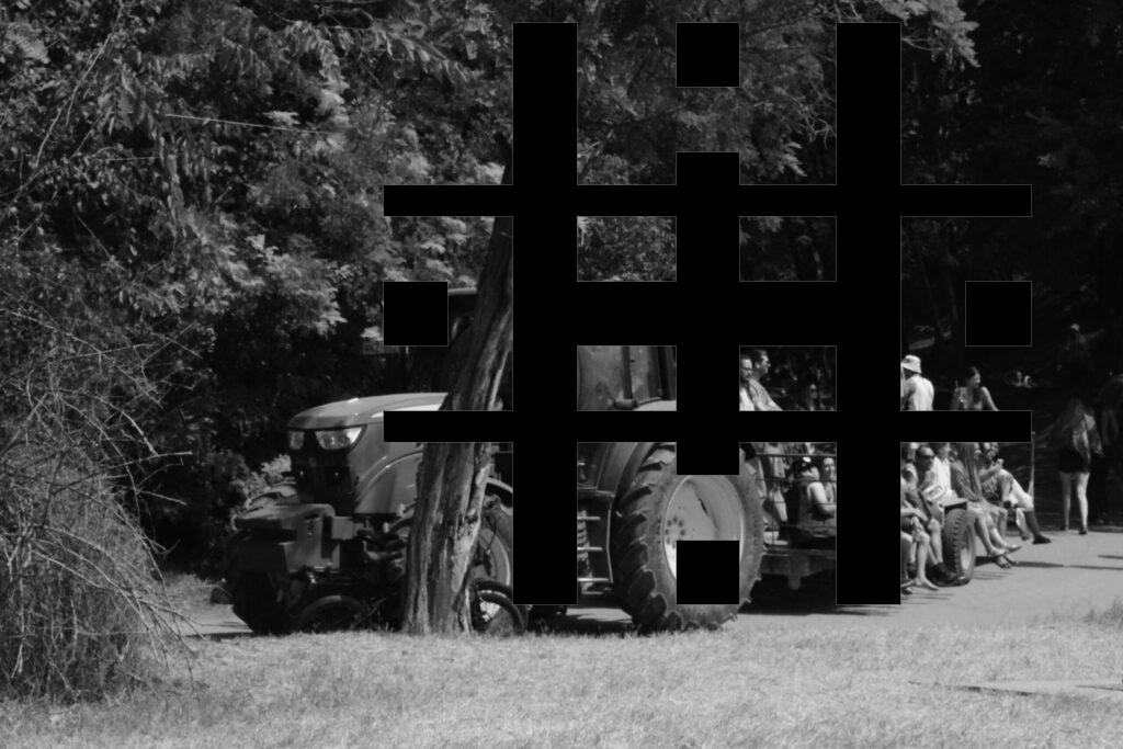 DSC_1500 b másolata