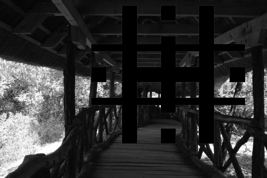 DSC_1520 b másolata